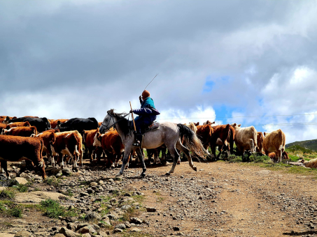 Eastern Cape Highlands Passes and some secret places