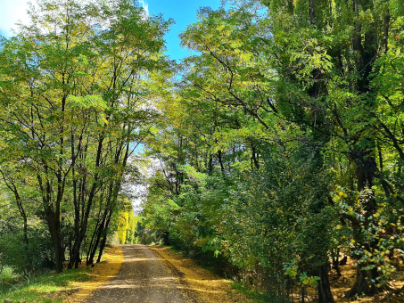 Eastern Cape Highlands Passes and some secret places